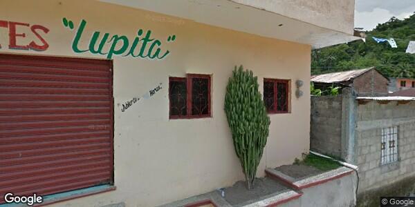 COMITÉ DIRECTIVO MUNICIPAL DEL PRI